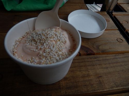 vegan ice cream (mamey flavour, with puffed amaranth topping) at La Pitahaya Vegana in Mexico City