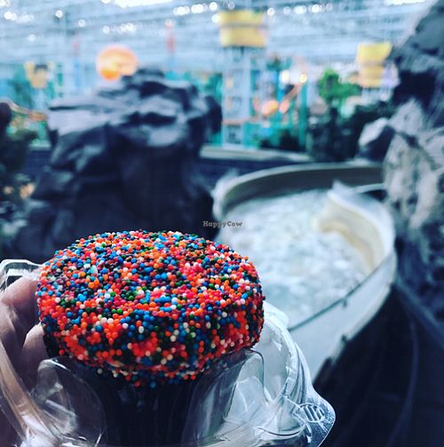 chocolate cupcake at Cupcake in Minneapolis