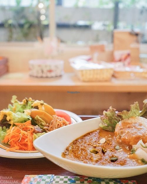 Curry with salad. at Babel Cafe in Osaka