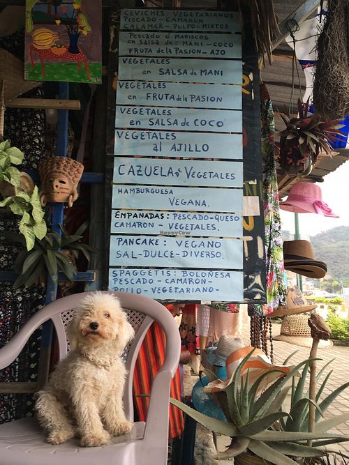 the owner's dog at Cafe Mar in Puerto Lopez