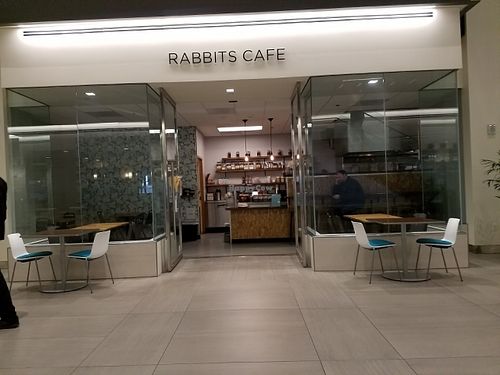 outside at Rabbits Cafe in Portland