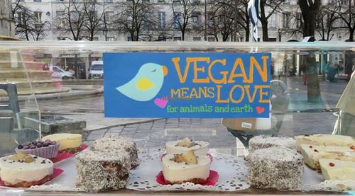 Love at Squitti in Utrecht