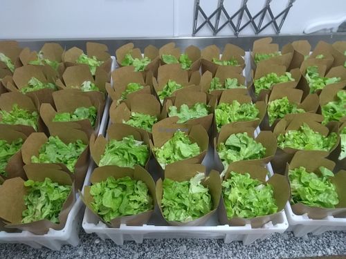 Organic salads  at Squitti in Utrecht