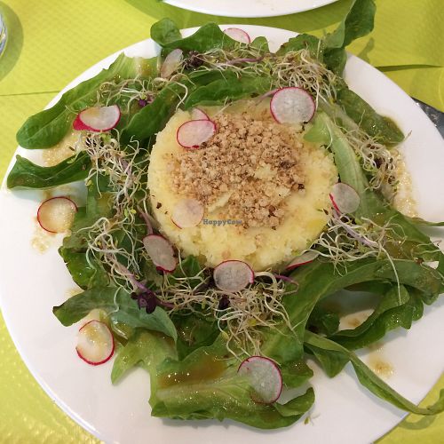 hachis parmentier (shepherd's pie): a lentil base topped with mashed potatoes  at 3 Bio in Paris