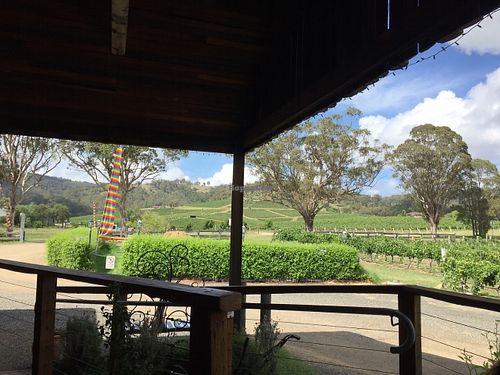 The view from the verandah.  at Love Kitchen in Pokolbin