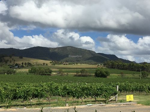 Overlooking the vineyards from the verandah.  at Love Kitchen in Pokolbin