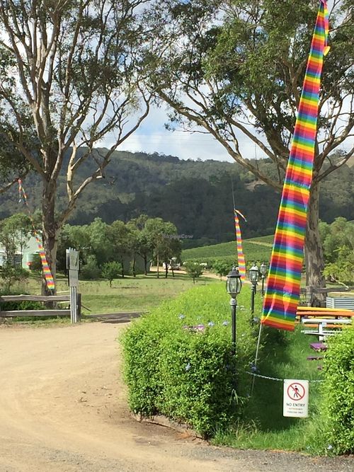 Looking back along the entrance.  at Love Kitchen in Pokolbin