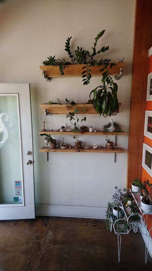 Deco at Squeeze Juice Works in Tampa