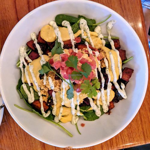 Brunch Bowl at No Bones Beach Club in Seattle