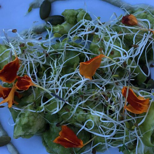 Another Course at Plant Food and Wine in Miami