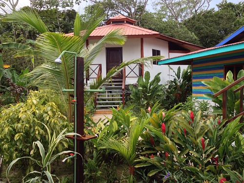 Garden at Casa AbundancYah B&B in Bocas Del Toro