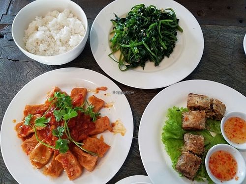 tofu in tomato sauce, spring rolls, morning glory, and steamed rice at Am Vegetarian & Hideaway in Hoi An