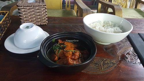 Veggie fish and rice at Am Vegetarian & Hideaway in Hoi An