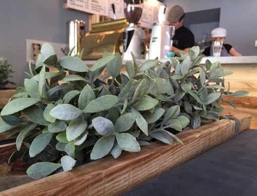 inside  at Sweet Life American Bakery and Specialty Coffee Bar in Krakow