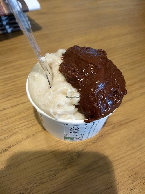 Nuts soy icecream and chocolate sorbet at Bio Gelato in Bergamo