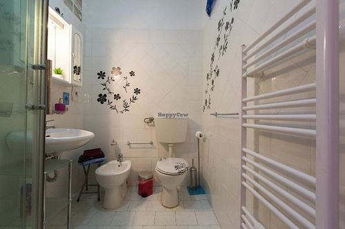 Fully functional bathroom equipped with many useful accessories: a shower, hair dryer, shower gel, shampoo, hand soap and intimate soap, toilet paper. at Casa Veggy in Rome