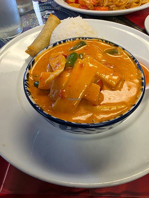 Vegan Red Curry 🍛 at Thai Hot in San Antonio