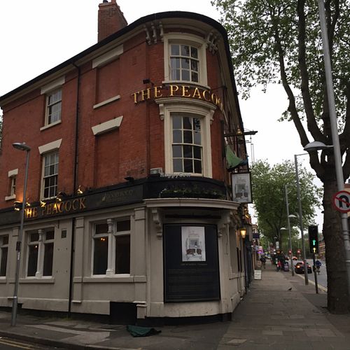 The Peacock at The Peacock in Nottingham