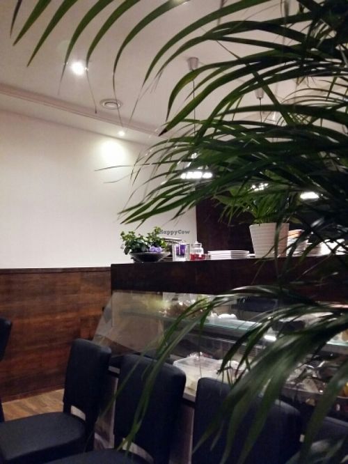 The Leaf at The Leaf in The Hague