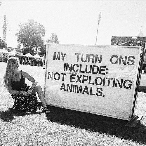 yes at Eden Perfumes - Western Rd in Brighton