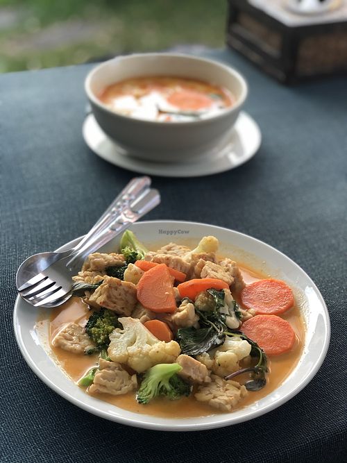 Tempeh curry at Pink House Garden in Chiang Mai