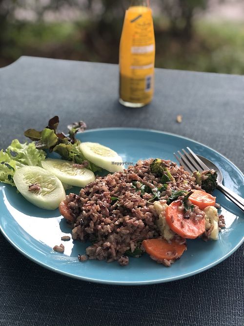 Fried rice at Pink House Garden in Chiang Mai
