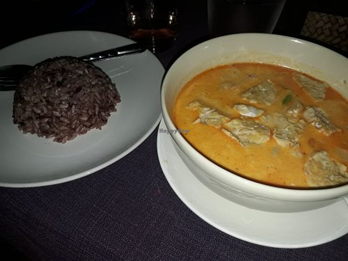 Massaman with Brown Rice at Pink House Garden in Chiang Mai