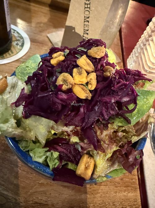 salad  at Enchilada in Aschaffenburg