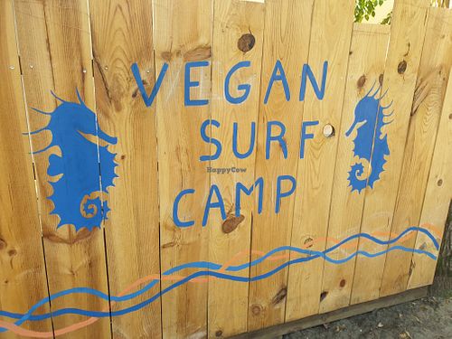 very nice place  at Vegan Surf Camp in Moliets