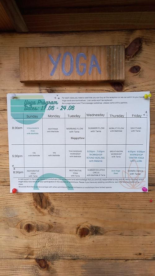  at Vegan Surf Camp in Moliets