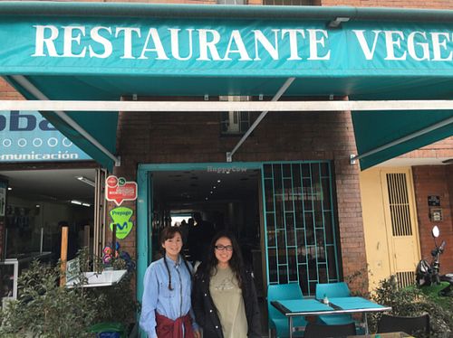 excellent salad bar  at Vegan Bowl in Bogota