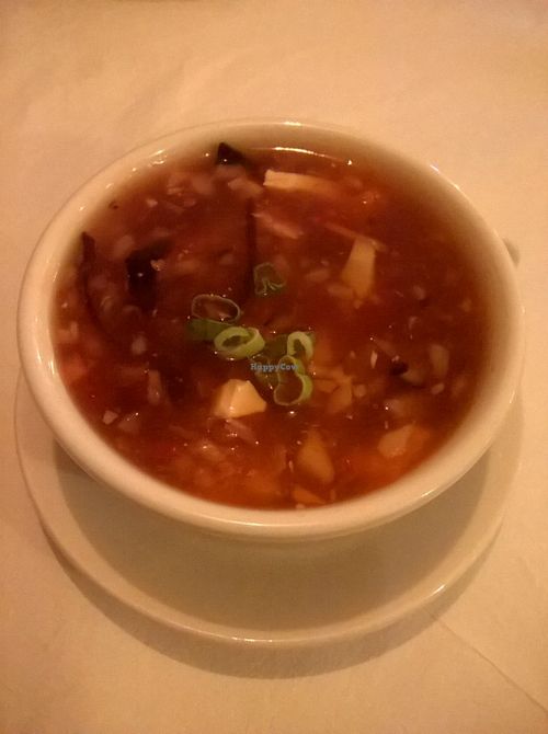 Vegetable hot and sour soup at Red Dragon Chinese Fusion in South Shields