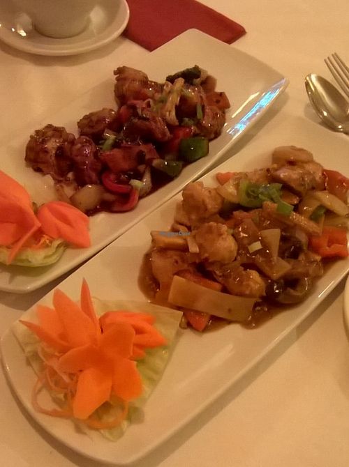 Veg chicken in black bean sauce and veg chicken in satay sauce at Red Dragon Chinese Fusion in South Shields