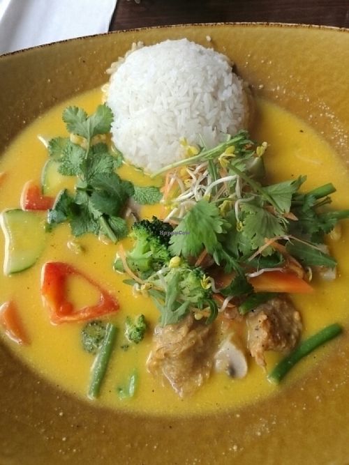 mock chicken in mango sauce with coconut milk at Rou Vegetarian in Berlin