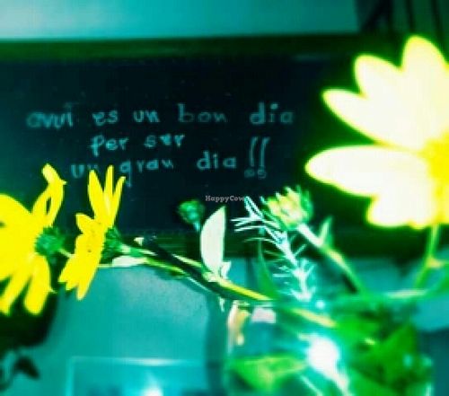 si vienes te irás con una sonrisa ☺ at El Pati de la Veina in Girona