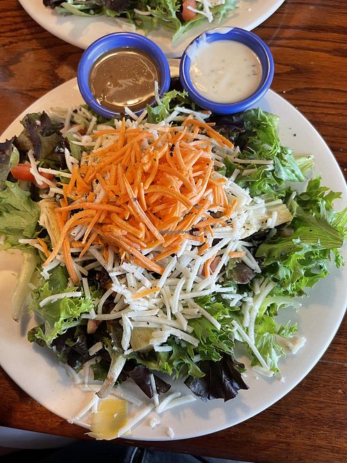 Spotted Dog Restaurant and Bar Carrboro North Carolina Restaurant