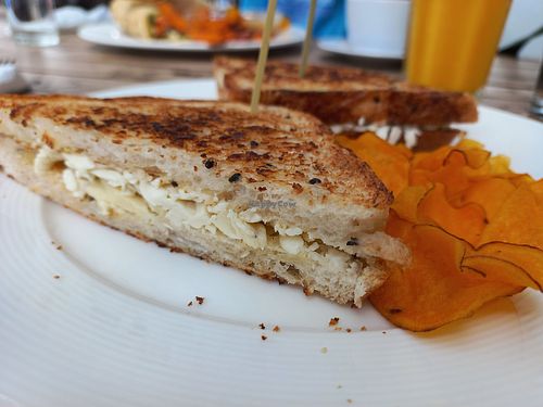 Vegan grilled cheese at Food4Thought in Chiang Mai
