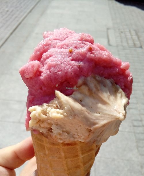 hazelnut and some sorbet at Lodziarnia Lody na Okraglo in Lodz
