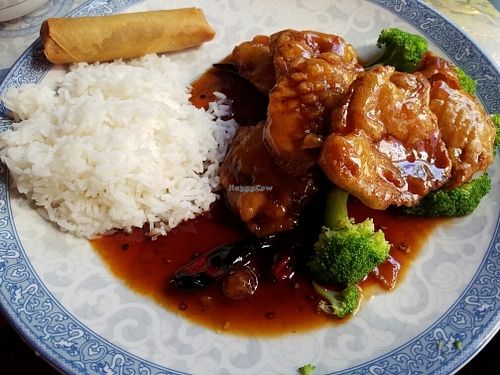 General Tso Seitan and Spring Roll at Chengdu Center City 成都 in Philadelphia