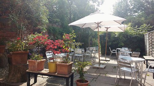 Garden at Cafe 68 at Cycle Heaven in York