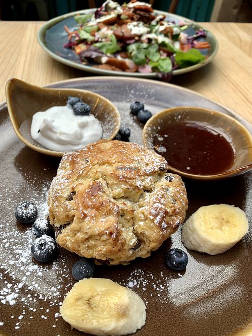 Scone with coconut cream and jam at Bonobo Cafe in Aberdeen