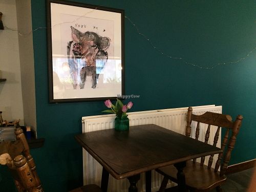 Bonobo cafe at Bonobo Cafe in Aberdeen