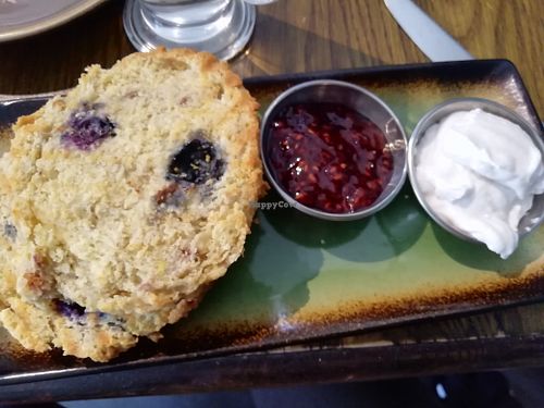 Blueberry scone, jam, and cream at Bonobo Cafe in Aberdeen