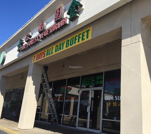 great cooked veggie Buffett at Pine Forest Garden in Houston