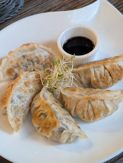 Dumplings at LN Fortunate Coffee in Hong Kong Island