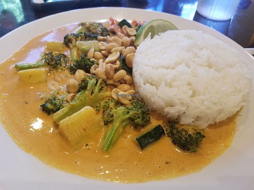 Panang Curry at Blue Dream Curry House in Asheville