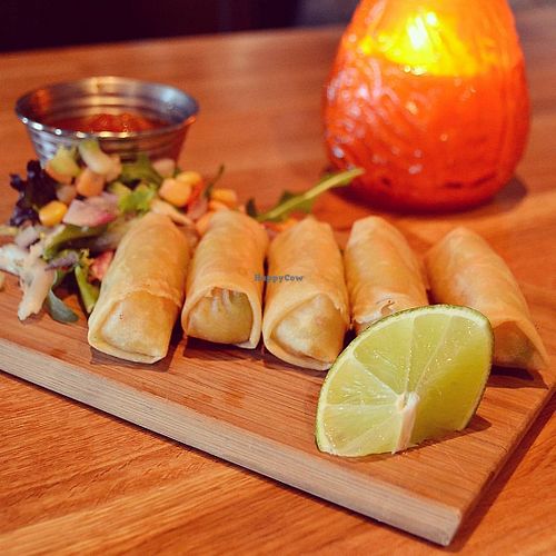 vegan spring rolls at Smelteverket in Oslo