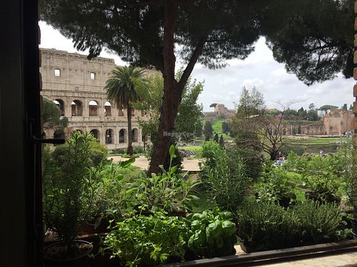 View from your dinner table at Vegan by Season at the Colosseum in Rome