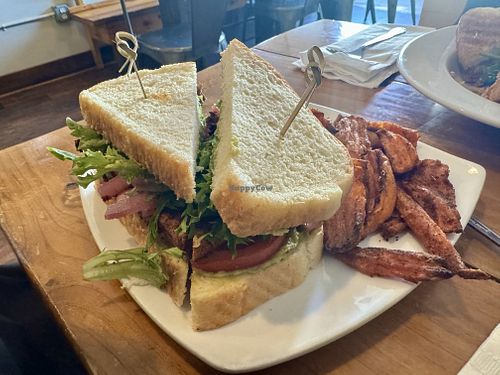 Vegan sandwich - big blocks of flavorless tofu left much to be desired.   at Groundswell in St Paul