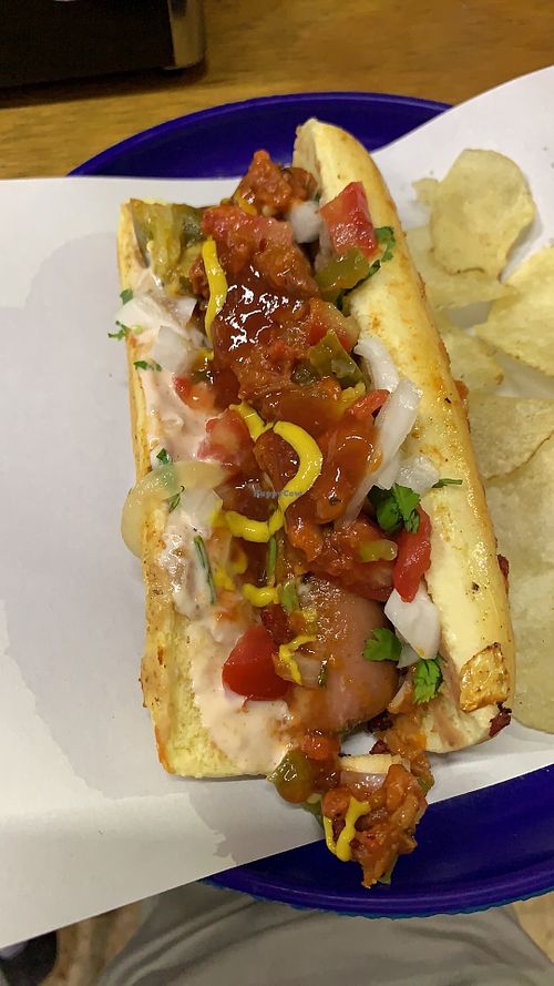 Not dog  at Viko in Mexico City